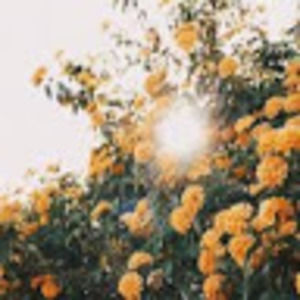 Meet your Posher, Meredith